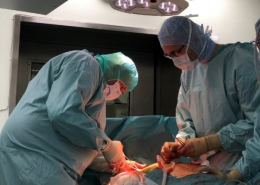 Wykonywanie operacji transplantacji serca