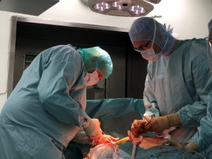Wykonywanie operacji transplantacji serca