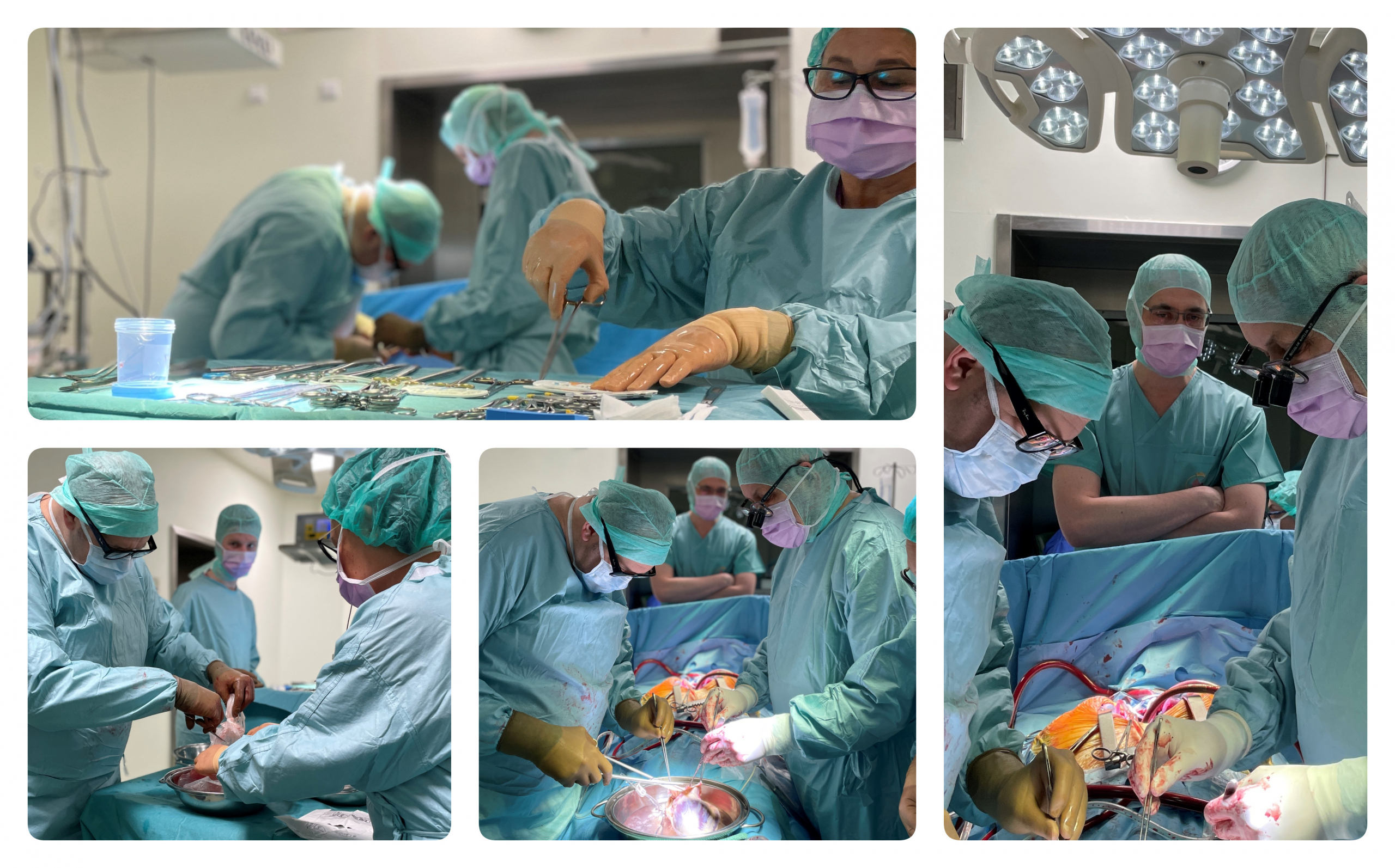 Sala operacyjna wraz z zespołem podczas transplantacji serca