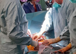 kolorowe zdjęcie na nim moment operacji transplantacji płuc, widzimy zespół zabiegowy
