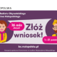 Kolorowa grafika informująca o 8 budżecie obywatelskim
